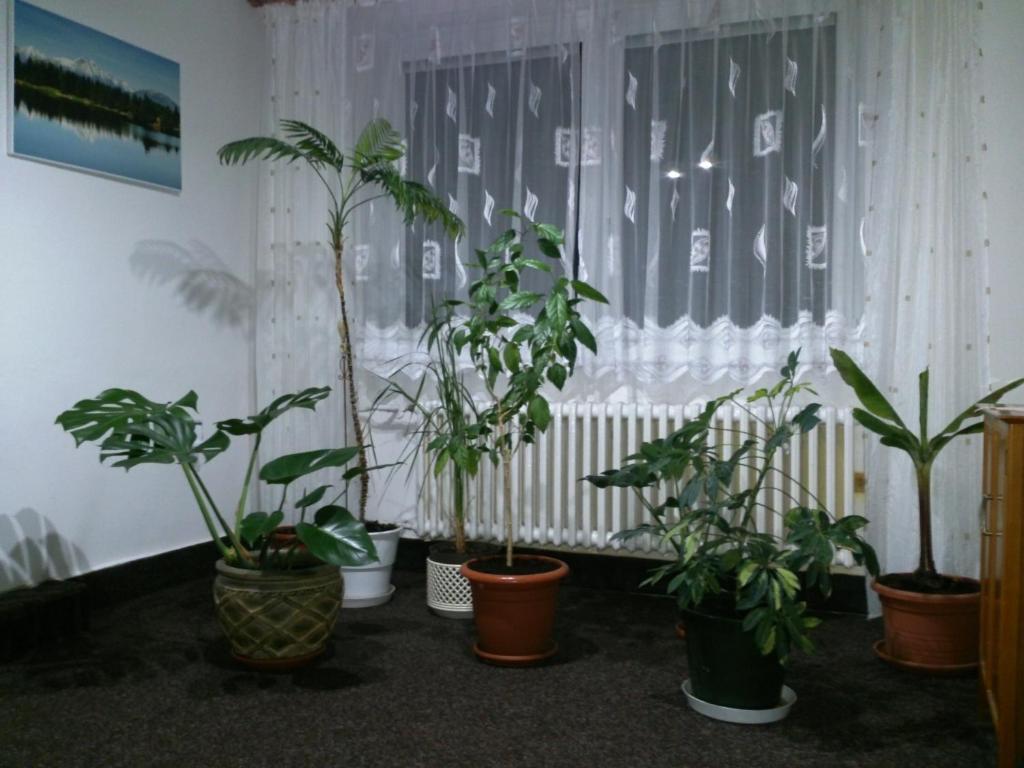 Sunnystreet Guesthouse Stará Lesná Exteriér fotografie